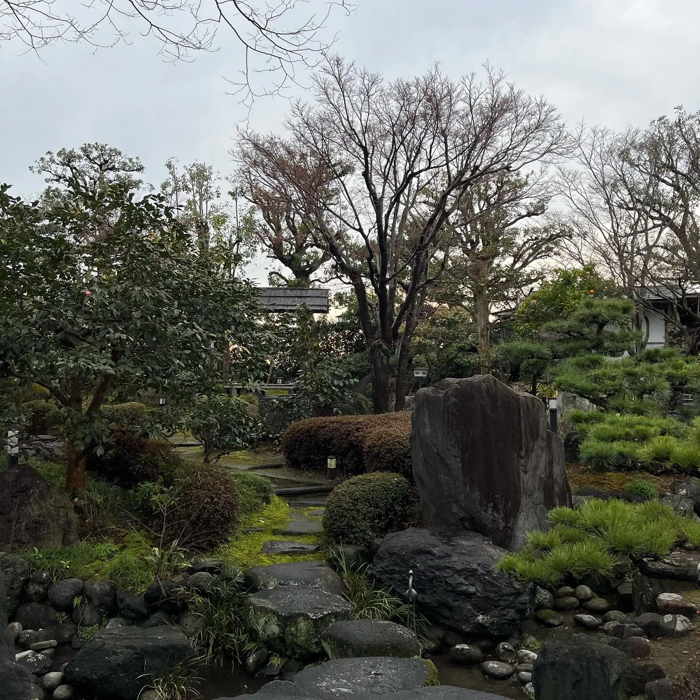 和の庭園を眺めながらのランチ。