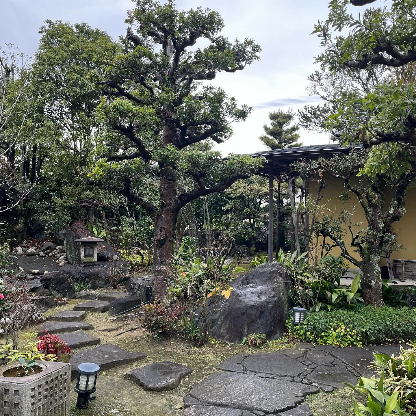 和の庭園を眺めながらのランチ。