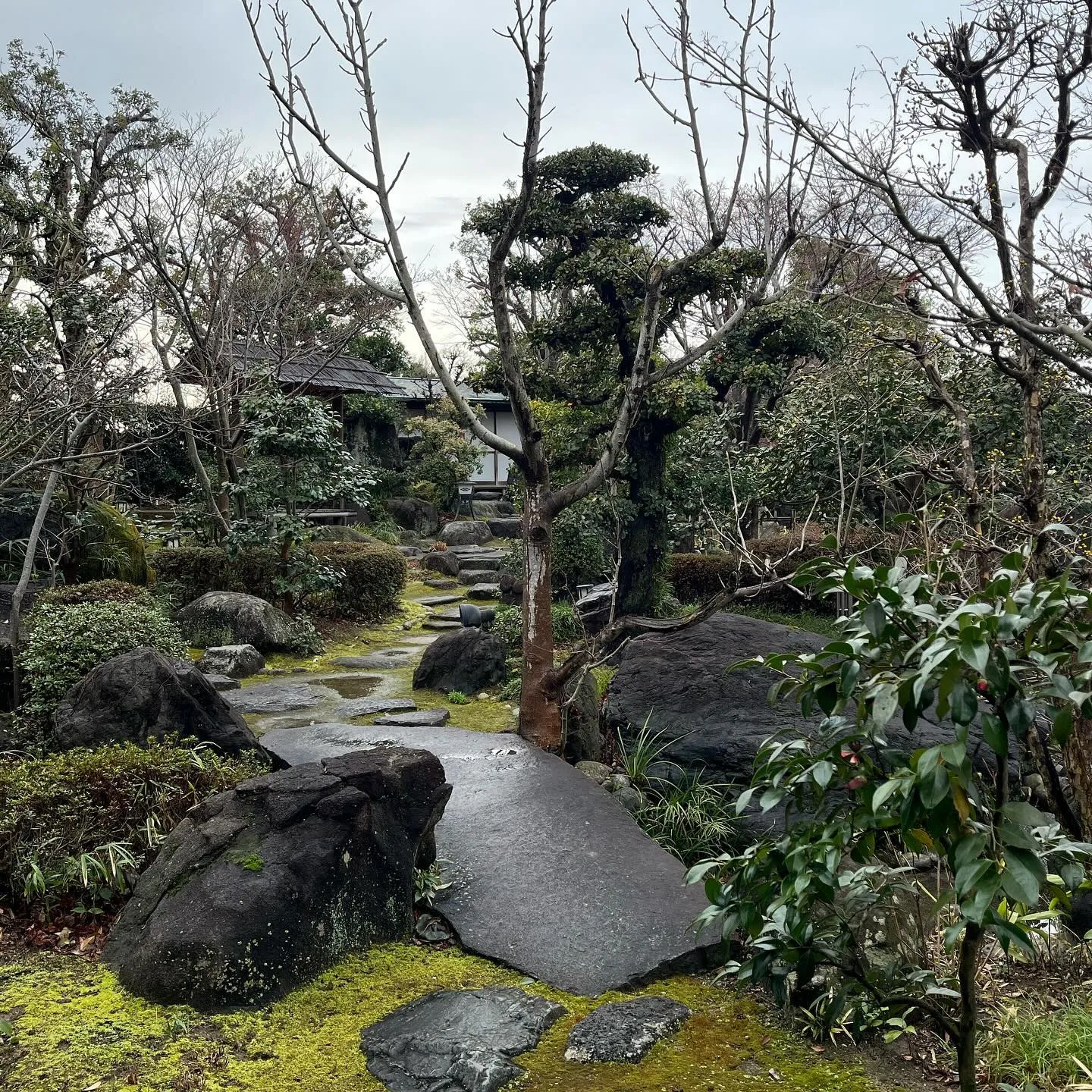 和の庭園を眺めながらのランチ。